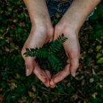 4 astuces pratiques pour faire un tourisme durable